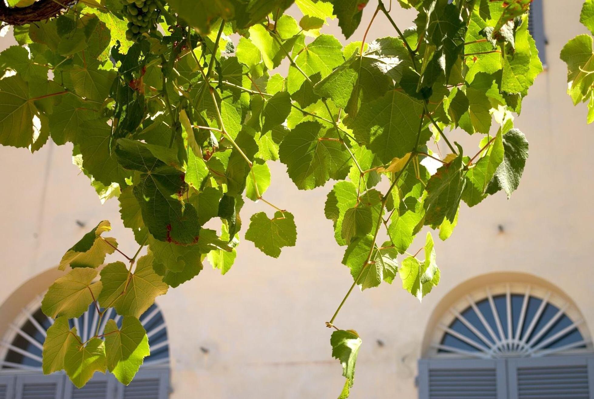 Podere Riparbella Massa Marittima Exterior foto